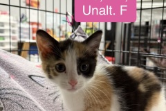 Flo, 2m, Unalt. F