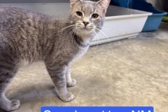 Smudge, 11m, NM