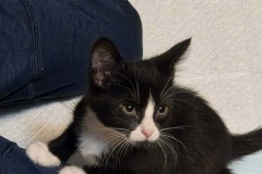 Harry, 2m, NM