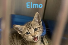 Elmo, 1m, Unalt. M