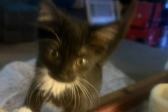 Bert, 2m, Unalt. M