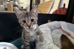 Jenna, 3m, SF
