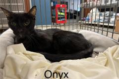 Onyx