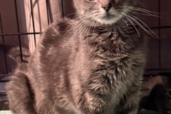 Skidamama, 1y, Unalt. F