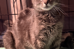 Skidamama, 1Y, SF