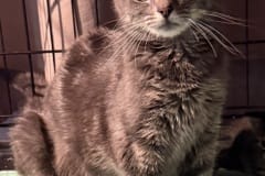 Skinamama, 1y, Unalt. F, Nursing Mom