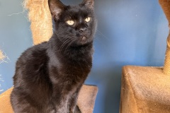 Ursula, 2y, SF