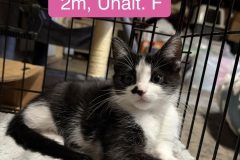 Wednesday, 2m, Unalt. F