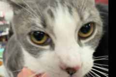 milky-way NM about 8m