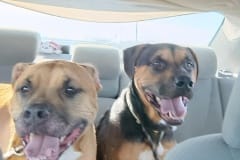 Rita with her buddy, Patrick