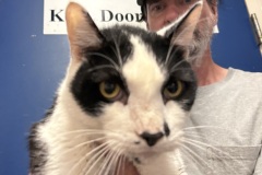Baby-A018100-M