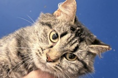 Gwen-A017911-F-1
