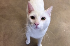 Phillip-A017882-M