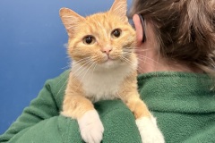 Winnie-A017448-F