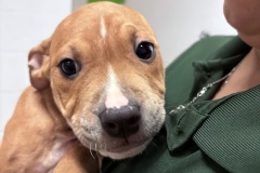 Reggie-A018152-M
