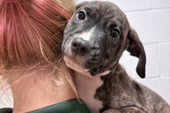 Ronnie-A018151-M