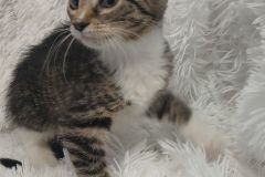 Ashley, 3 mths,