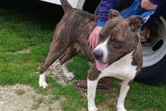 Another photo of GYPSY