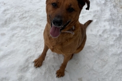 ATHENA-Lab-mix-4-5-years-Female-45