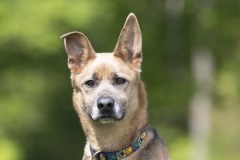 Another photo of SAMPSON