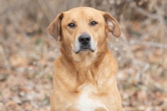 Another photo of BUSTER