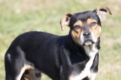 Another photo of COLBY