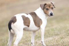 Another photo of DOROTHY