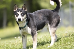 Another photo of DUKE