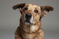 Another photo of HOSS