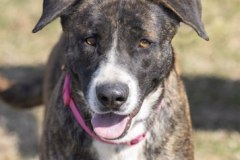 Another photo of JESSIE