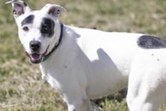 Another photo of ROCKET