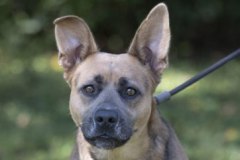 Another photo of SAMPSON