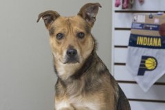 Another photo of SCOOTER