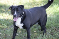 Another photo of SILAS